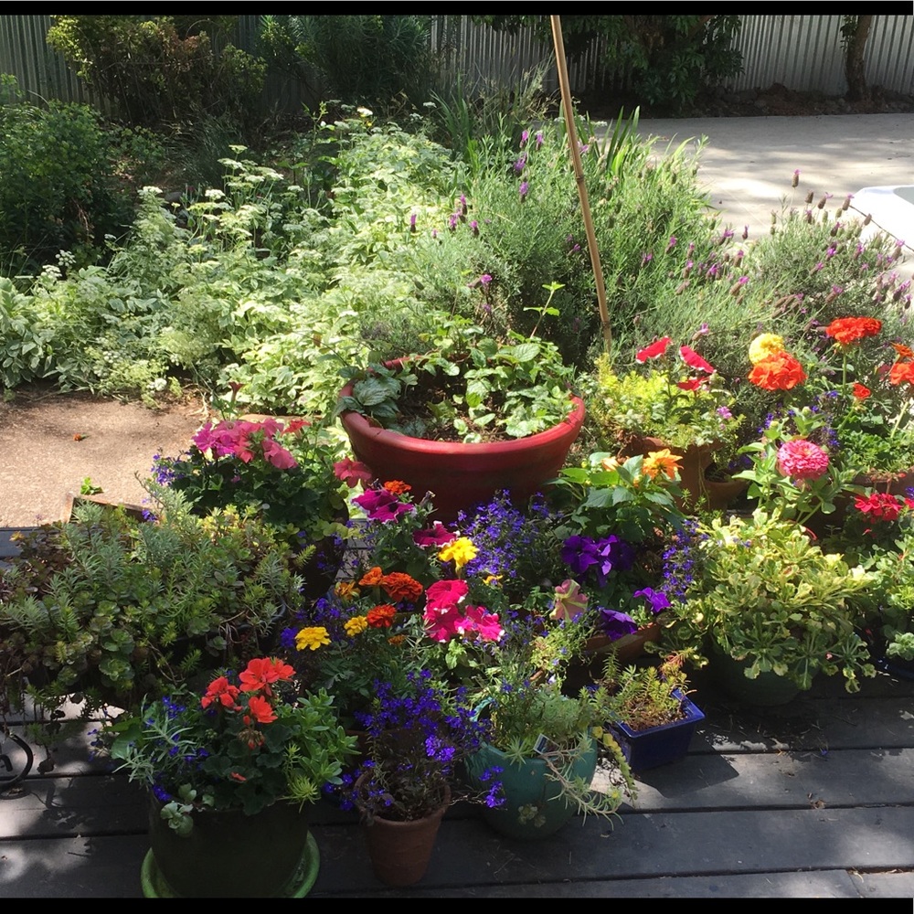 Meet your Posher, NHN